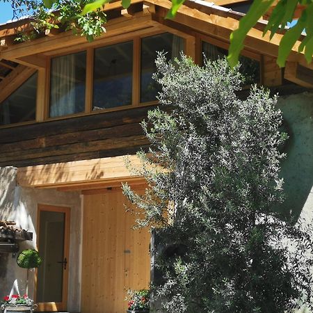 Ansitz Grustdorf Apartment Appiano Sulla Strada Del Vino Bagian luar foto