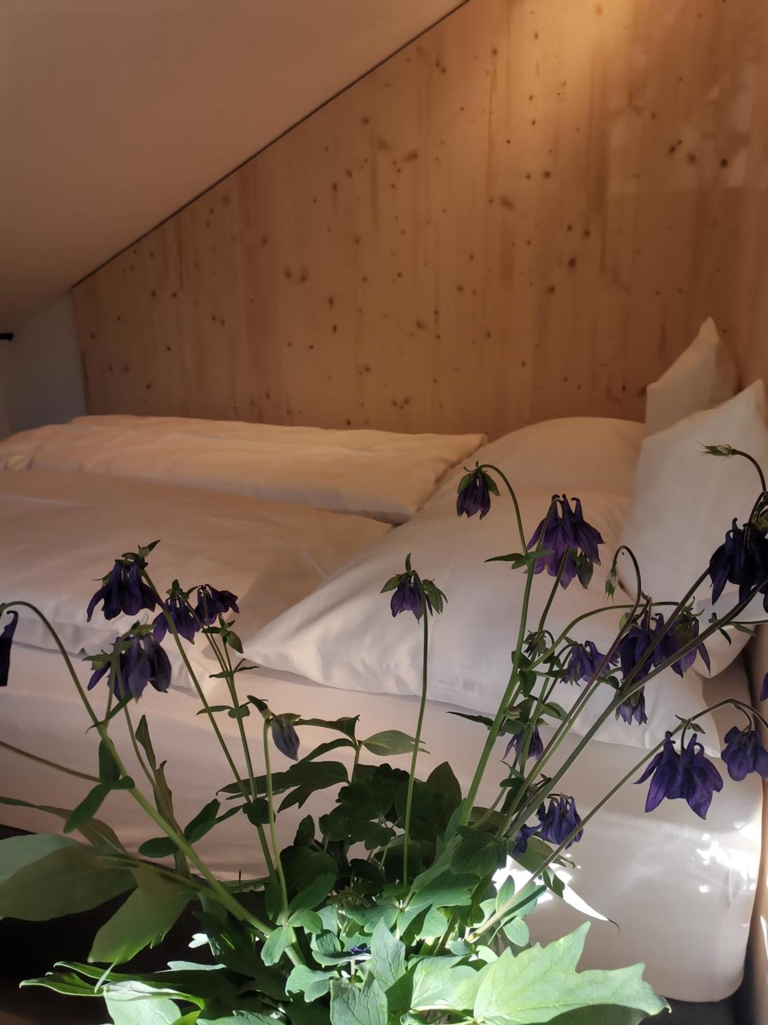 Ansitz Grustdorf Apartment Appiano Sulla Strada Del Vino Bagian luar foto